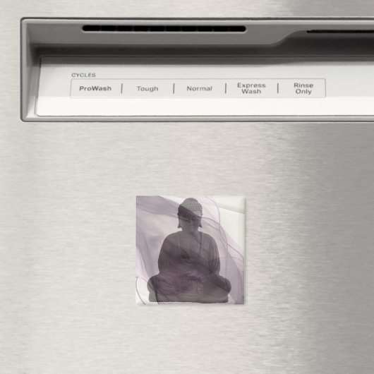 Zelf herkennen 1 magneet (Insitu (Vaatwasser))