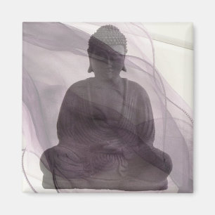 Zelf herkennen 1 magneet