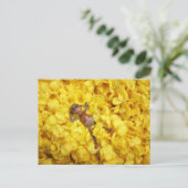 Zelf in de bloembladeren briefkaart (Staand voorkant)