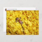 Zelf in de bloembladeren briefkaart (Voorkant / Achterkant)