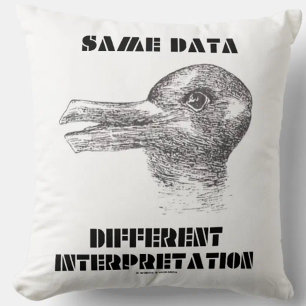 Zelfde Data Different Interpretation Duck Rabbit Kussen
