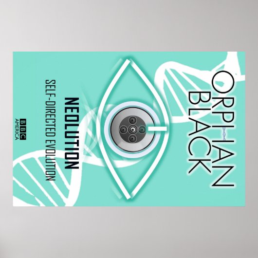 Zelfgerichte evolutie (Poster) Poster (Voorkant)