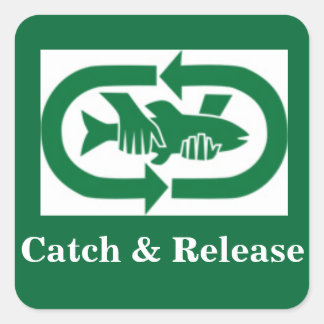 Zelfklever "Catch & Release" Vierkante Sticker