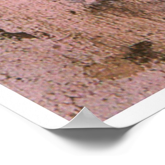 Zelfportret in een zacht Pet, Edgar Degas 1857 Poster (Hoek)