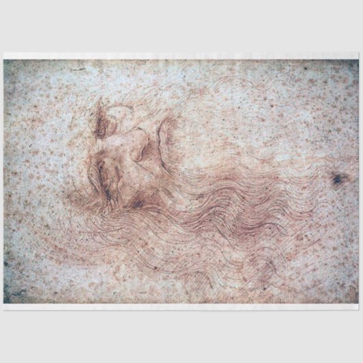 Zelfportret, Leonardo da Vinci Tissuepapier (Voorkant)
