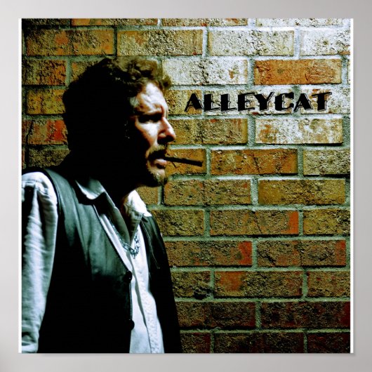 Zelfportret van Bruce AlleyCat Poster (Voorkant)