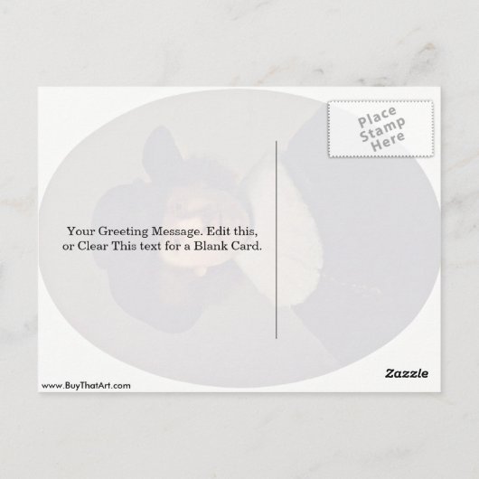 Zelfportret van Rembrandt Harmenszoon van Rijn Briefkaart (Achterkant)