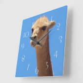 Zelfportret van Vicuña op blauwe achtergrond Vierkante Klok (Hoek)