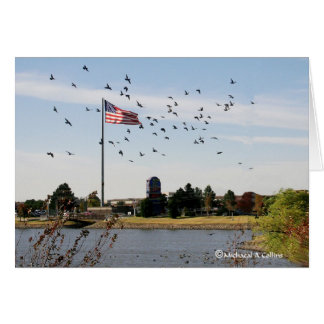 Zelfs de eenden houden van de VS