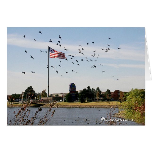 Zelfs de eenden houden van de VS (Voorkant Horizontaal)