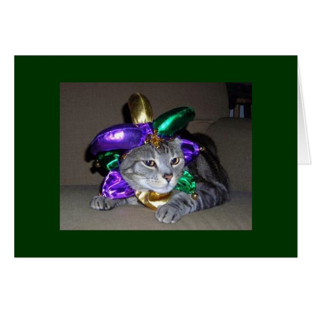 ZELFS DE KAT VOOR "U" IS "5O". (Voorkant Horizontaal)