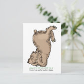 "Zelfs een beer kan leren dansen" Briefkaart (Staand voorkant)