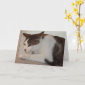 Zelfs kan een Goede Kat een Slechte Dag hebben! Kaart (Gele Bloem)