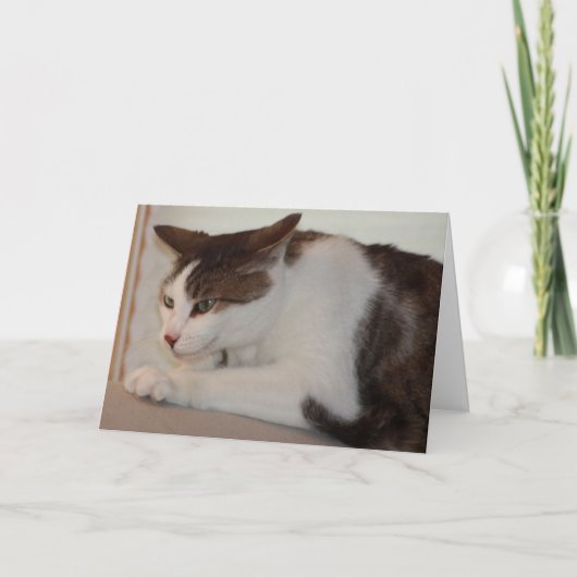 Zelfs kan een Goede Kat een Slechte Dag hebben! Kaart (Voorkant)