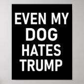 Zelfs mijn hond haat Trump, liberaal, anti-conserv Poster (Voorkant)