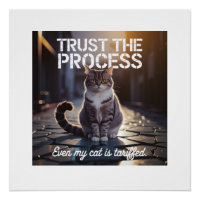 Zelfs Mijn Kat Is Belast - Vertrouw Op Het Proces