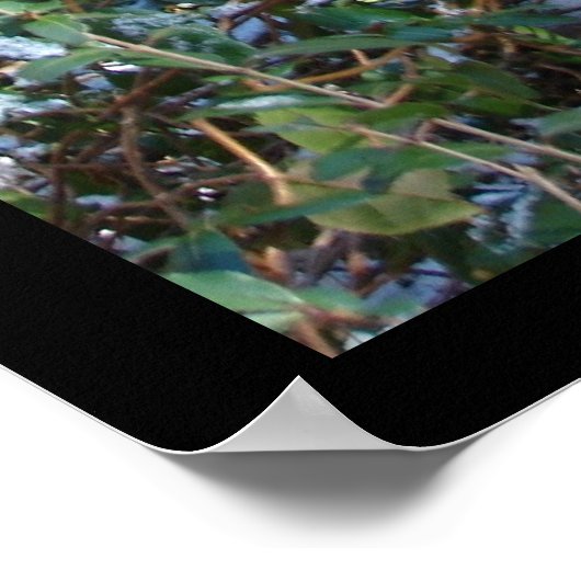 "Zelfs Natuur kan een slechte haardag hebben!" Afd Poster (Hoek)