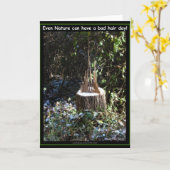 Zelfs Natuur kan een slechte haardag hebben! Gifte Kaart (Gele Bloem)