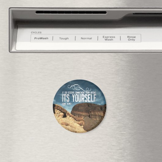 Zelfverplichting Inspirerend magneet (Insitu (Vaatwasser))