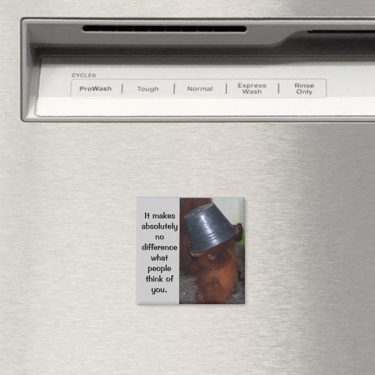 Zelfvertrouwen en trots magneet (Insitu (Vaatwasser))