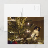 Zelma with the christmas tree briefkaart (Voorkant / Achterkant)