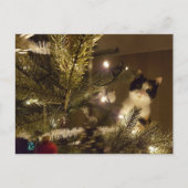Zelma with the christmas tree briefkaart (Voorkant)