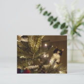 Zelma with the christmas tree briefkaart (Staand voorkant)