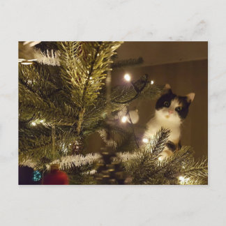 Zelma with the christmas tree feestdagenkaart