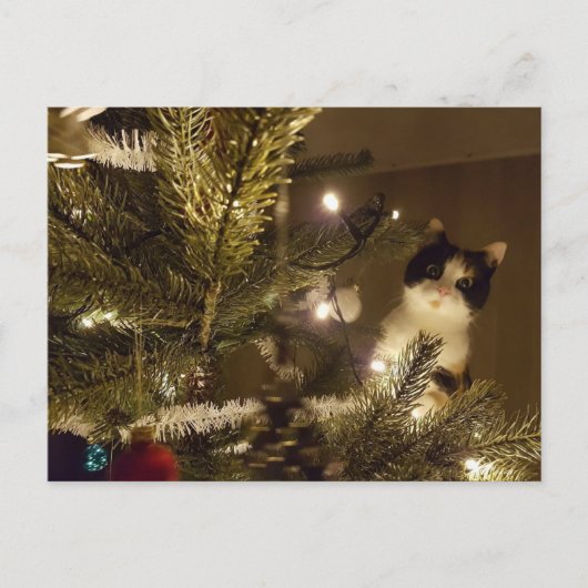 Zelma with the christmas tree feestdagenkaart (Voorkant)