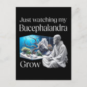 Zen and Bucephalandra – The Art of Aquascaping Briefkaart (Voorkant)