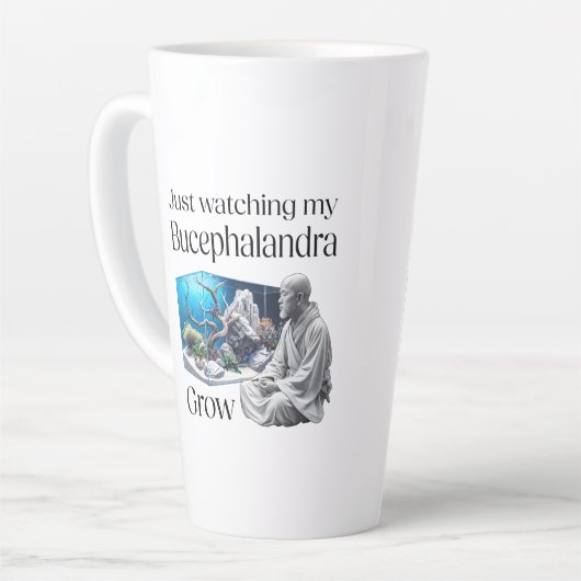 Zen and Bucephalandra – The Art of Aquascaping Latte Mok (Linkerhoek)