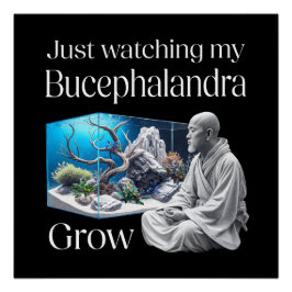 Zen and Bucephalandra – The Art of Aquascaping Perfect Poster