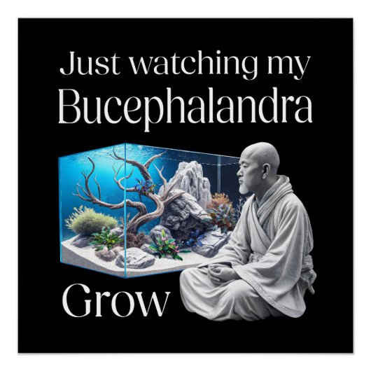 Zen and Bucephalandra – The Art of Aquascaping Perfect Poster (Voorkant)