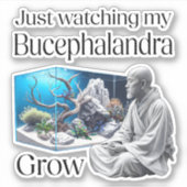 Zen and Bucephalandra – The Art of Aquascaping Sticker (Voorkant)