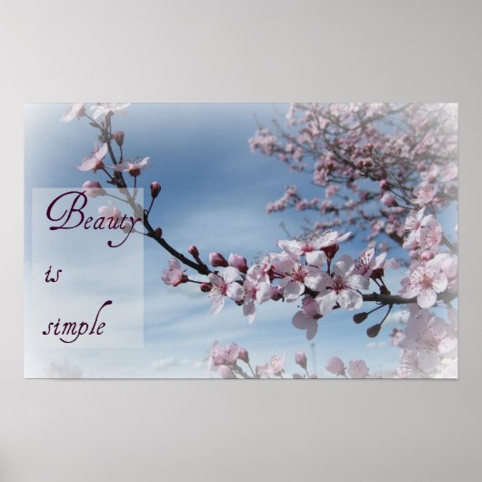 Zen- Beauty is het Poster van de Eenvoudige Cherry (Voorkant)