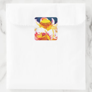 Zen Blooming Pink Lotus Flower Waterverf Vierkante Sticker