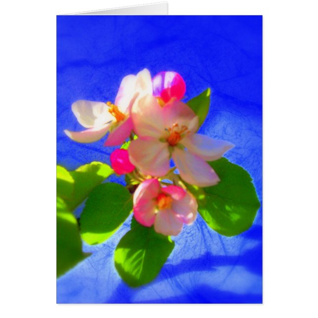 Zen Blossom Card (Voorkant)