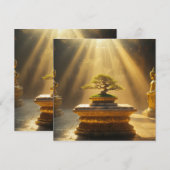 ZEN - BOEDDHISME - MEDITATIE (Voorkant / Achterkant)