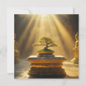 ZEN - BOEDDHISME - MEDITATIE (Achterkant)