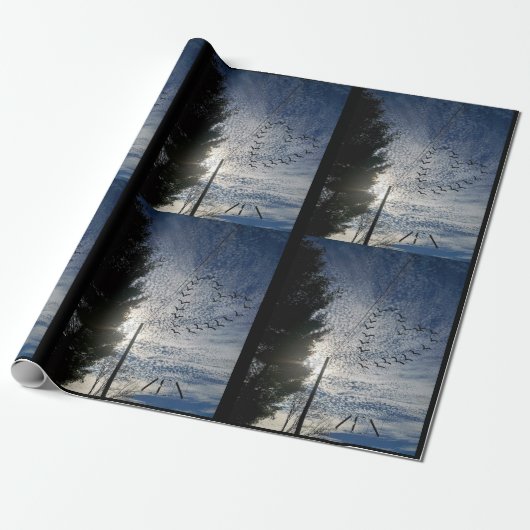 ZEN CADEAUPAPIER (Uitgerold)