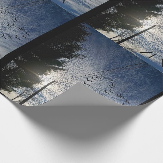 ZEN CADEAUPAPIER (Hoek)