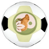 Zen Capybara Yin Yang Voetbal (Gedraaid)