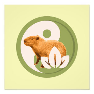 Zen Capybara Yin Yang Vreedzame Natuur Foto Afdruk