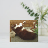 Zen Cat Briefkaart (Staand voorkant)