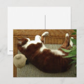 Zen Cat Briefkaart (Voorkant / Achterkant)