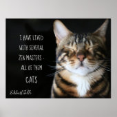 Zen Cat/Cat Quote Poster (Voorkant)