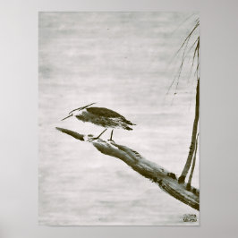 Zen Classics - Sesshu - Heron and Willow Poster