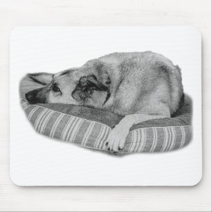 Zen Desk, Lounge Dog Pad Muismat