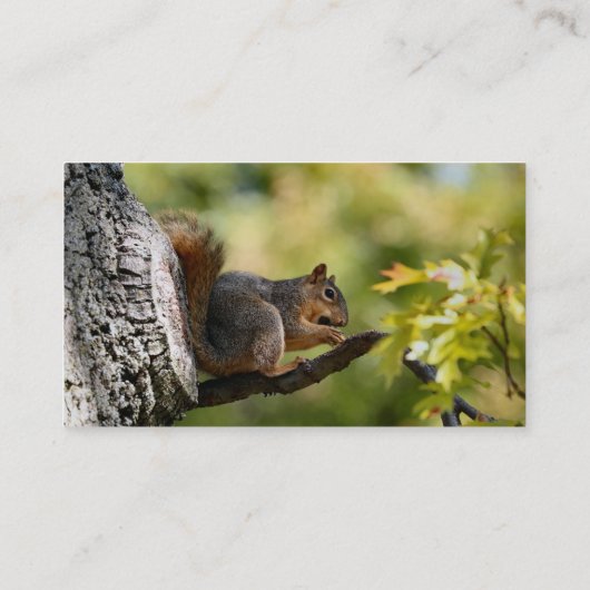 Zen-eekhoorn Visitekaartje (Achterkant)
