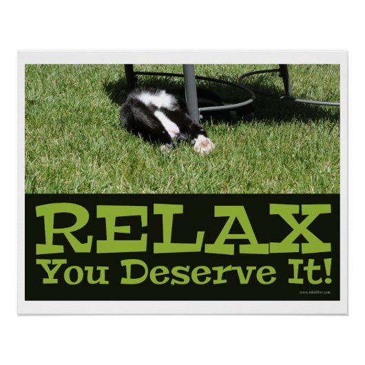 Zen en een Cat Relax Slogan Perfect Poster (Voorkant)
